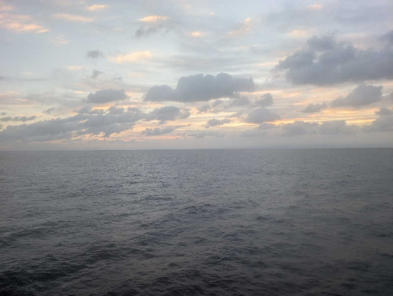 ▼・谷・▼パグ使い。さんのらべんだあ(新日本海フェリー)のサ活写真