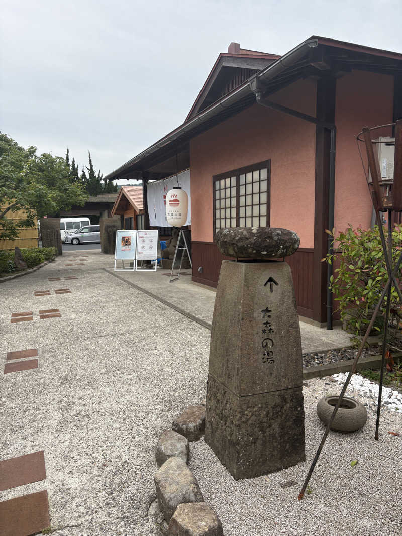 パープル🪯さんのきまち温泉 大森の湯のサ活写真