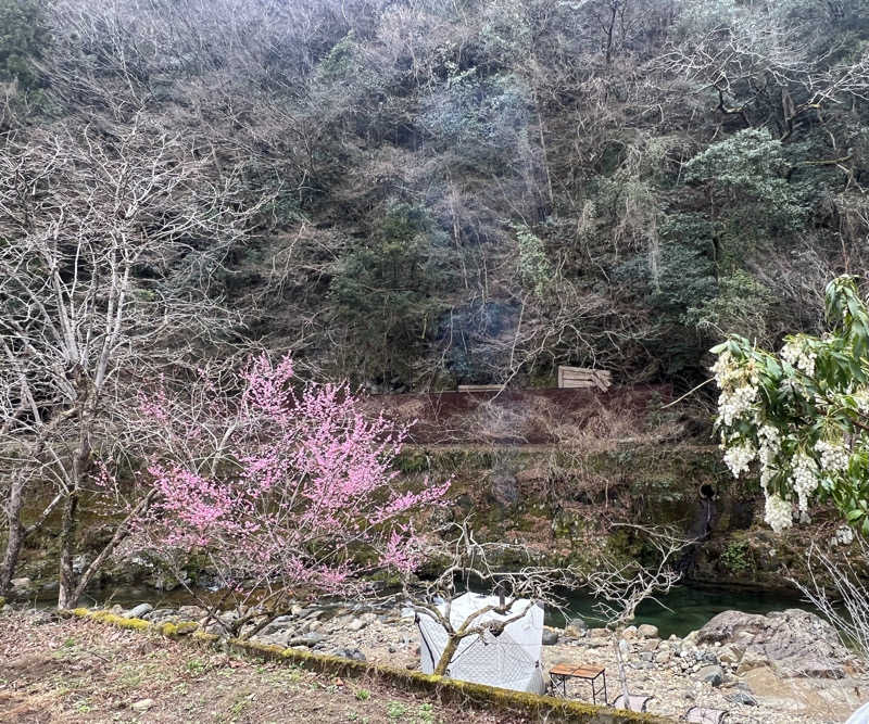 sauma.86さんのVIEHÄttÄVÄ ヴィエハッタヴァのサ活写真