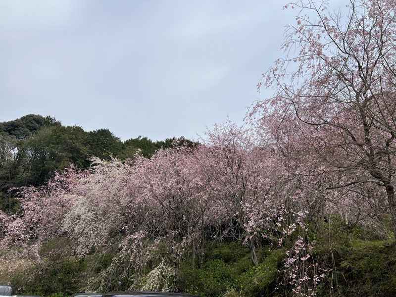 sauma.86さんの宇部サウナセンターのサ活写真