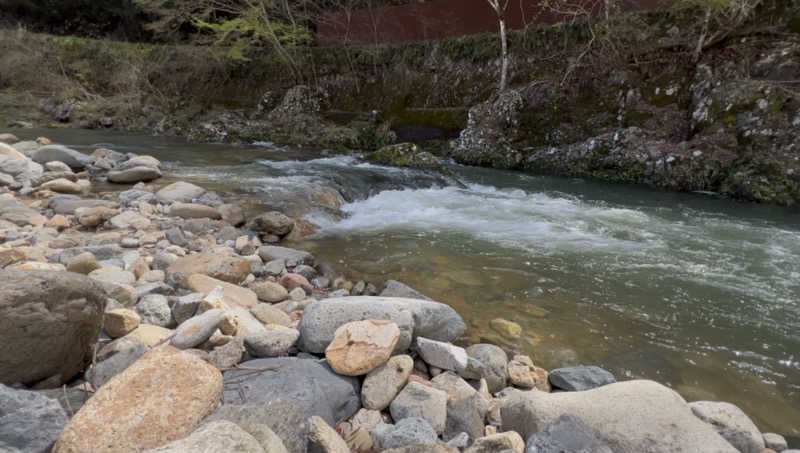 sauma.86さんのVIEHÄttÄVÄ ヴィエハッタヴァのサ活写真