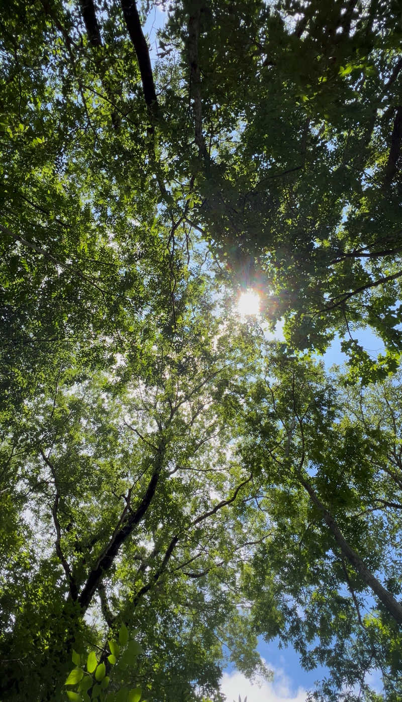 sauma.86さんの宇部サウナセンターのサ活写真