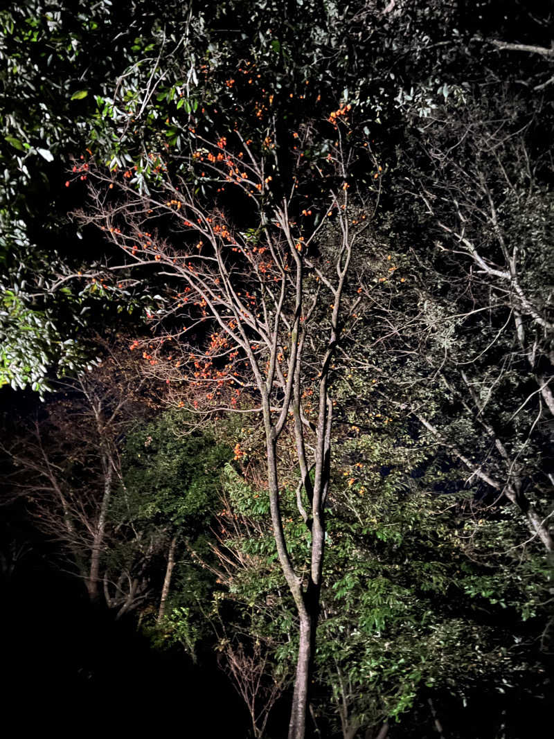 sauma.86さんの宇部サウナセンターのサ活写真