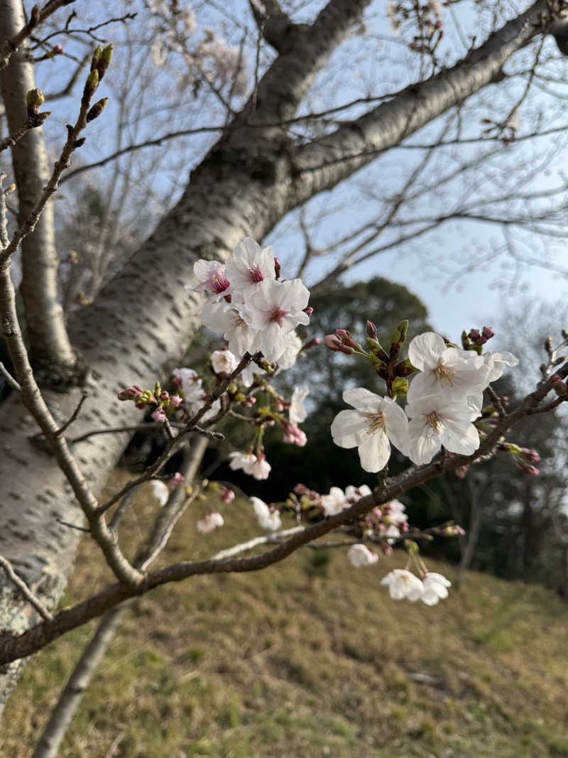 番犬そーさん。さんのTHE VANISHのサ活写真