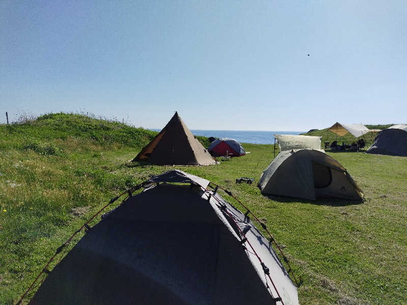 さんしょうの粉さんの金浦温泉・学校の栖のサ活写真