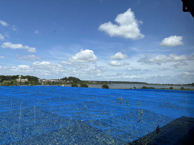 サカヤンさんの手賀沼観光リゾート 天然温泉 満天の湯のサ活写真