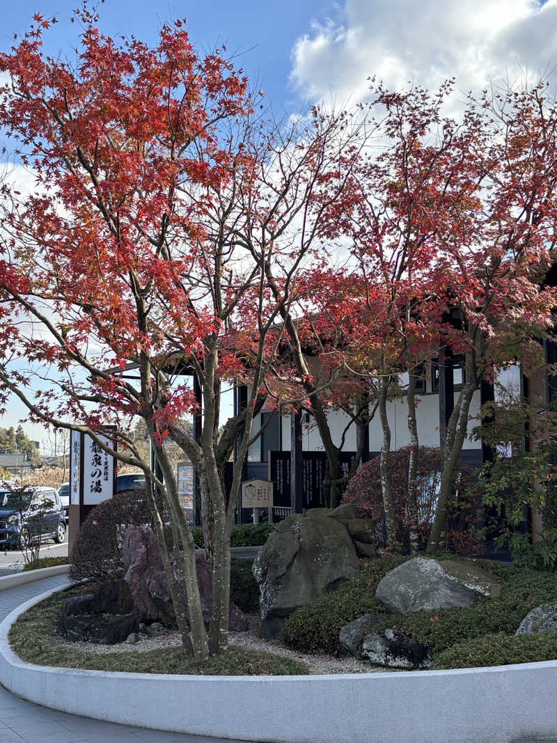 サカヤンさんの龍泉の湯のサ活写真