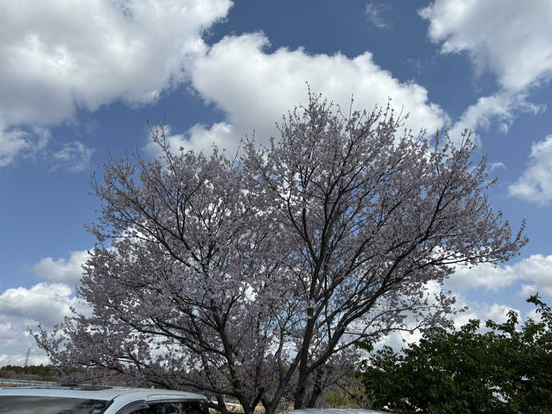 サカヤンさんの龍泉の湯のサ活写真