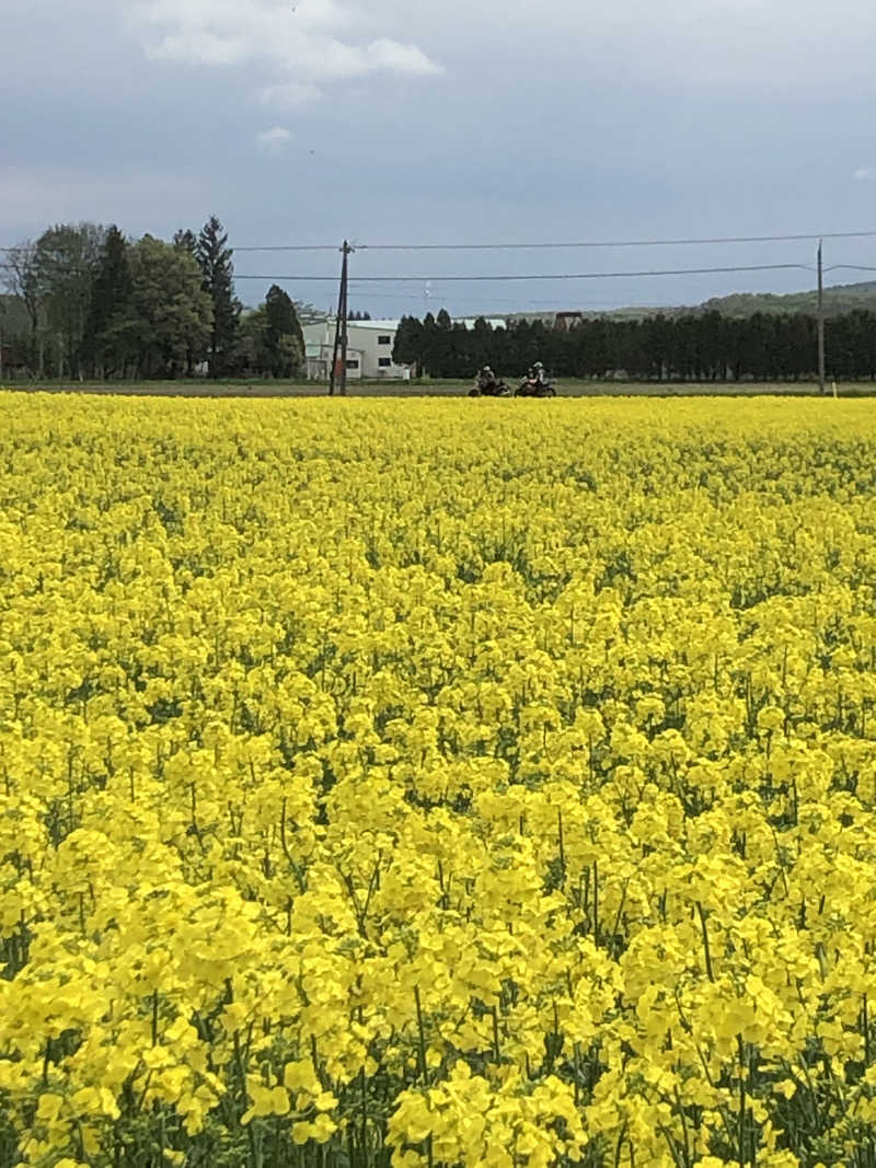 Yukoさんのこぶしの湯 あつまのサ活写真