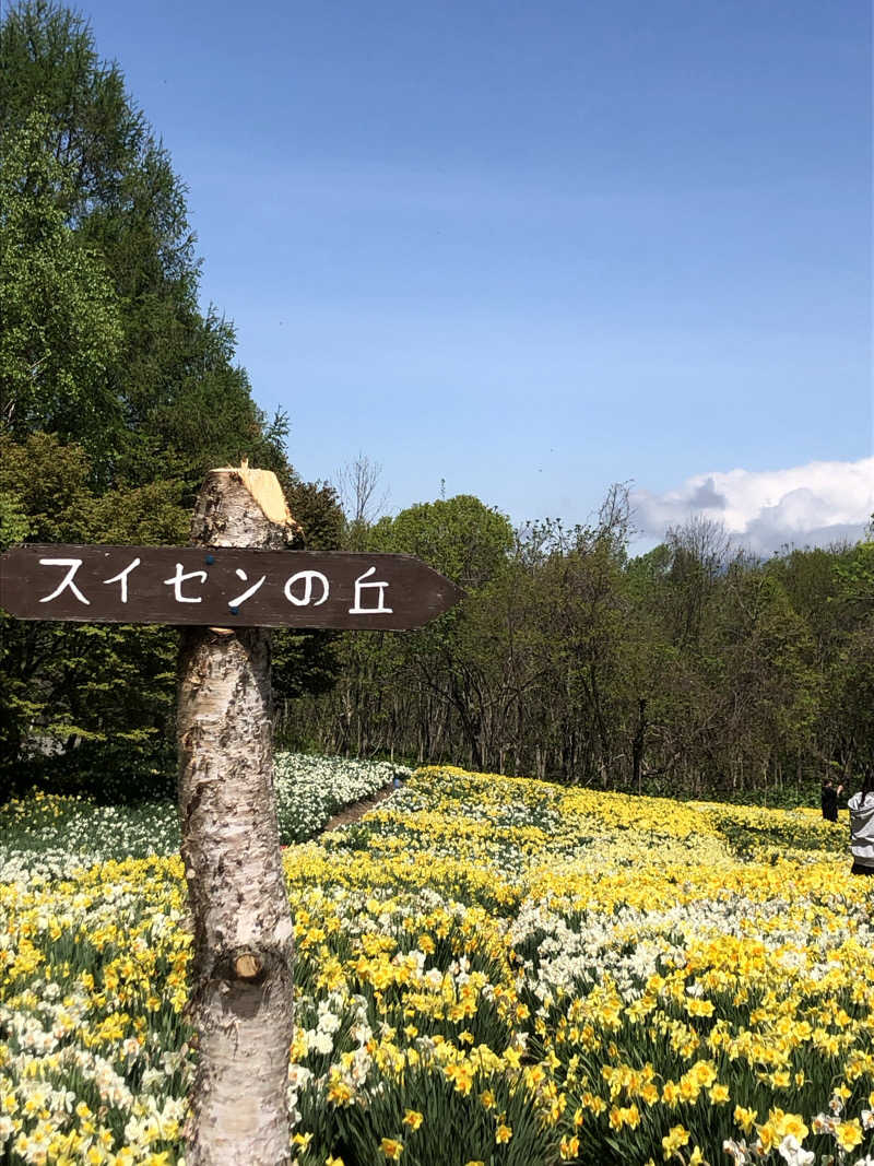 Yukoさんのまっかり温泉のサ活写真