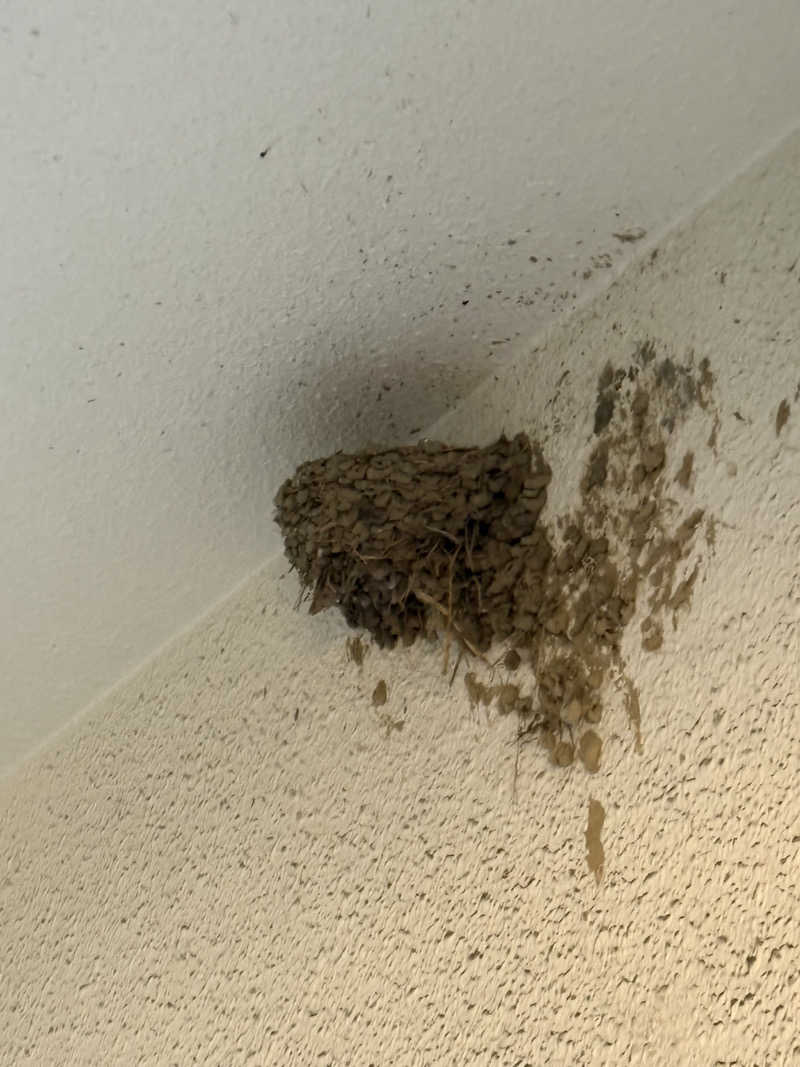 ビール星人🍺さんの西品川温泉 宮城湯のサ活写真