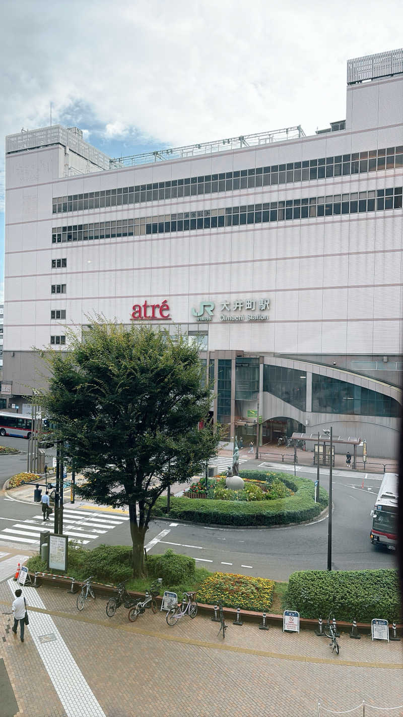ビール星人🍺さんの泊まれるサウナ屋さん 品川サウナのサ活写真