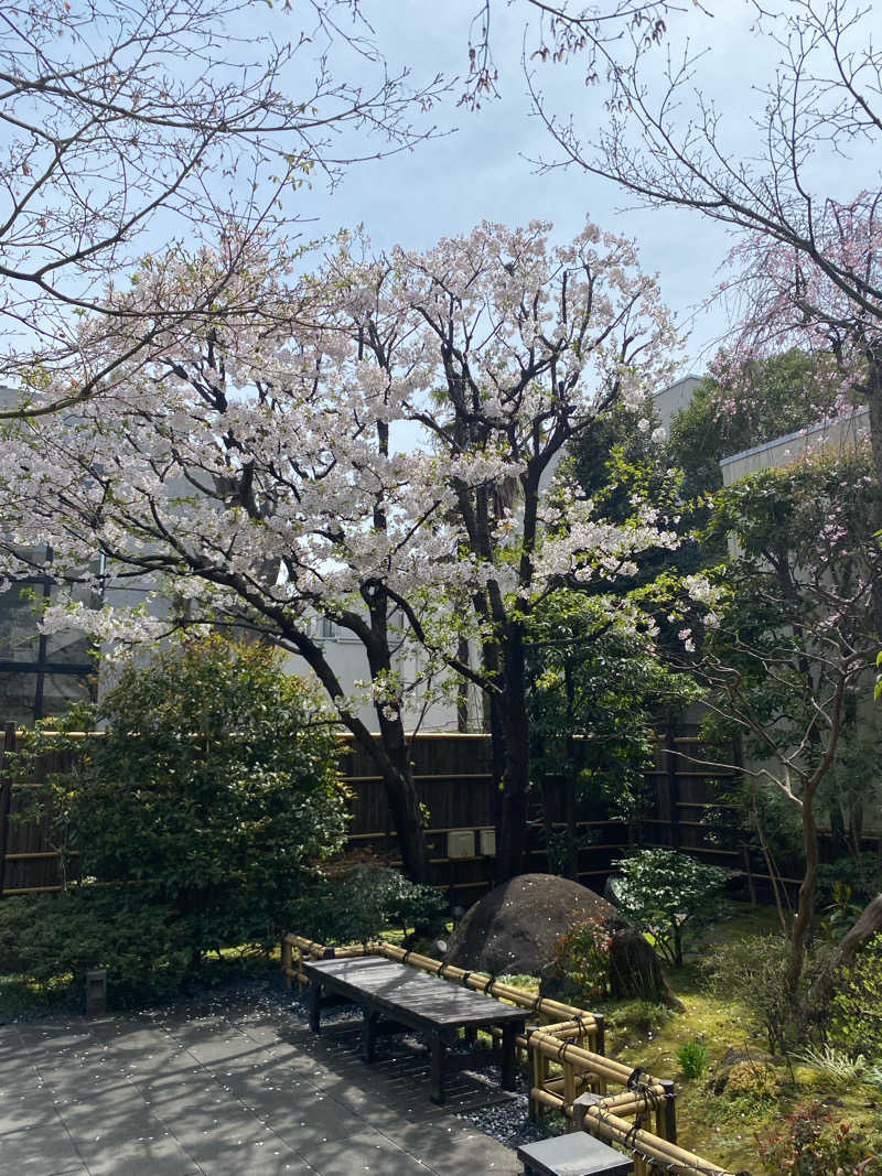 バンザイバンザイさんの東京染井温泉 SAKURAのサ活写真