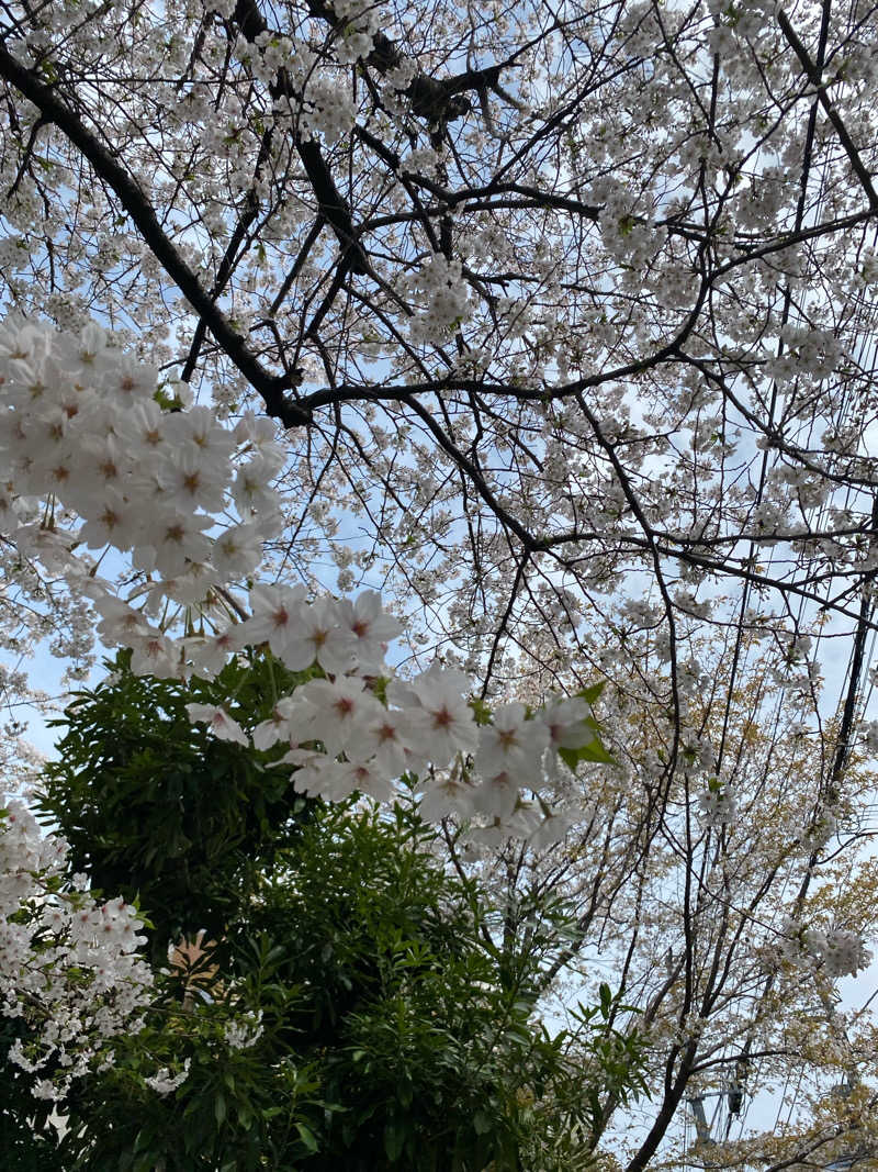 バンザイバンザイさんの東京染井温泉 SAKURAのサ活写真