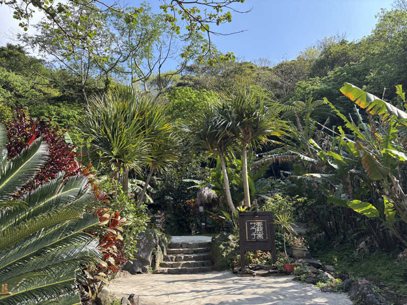 名古屋のサウナーさんの亜熱帯サウナのサ活写真