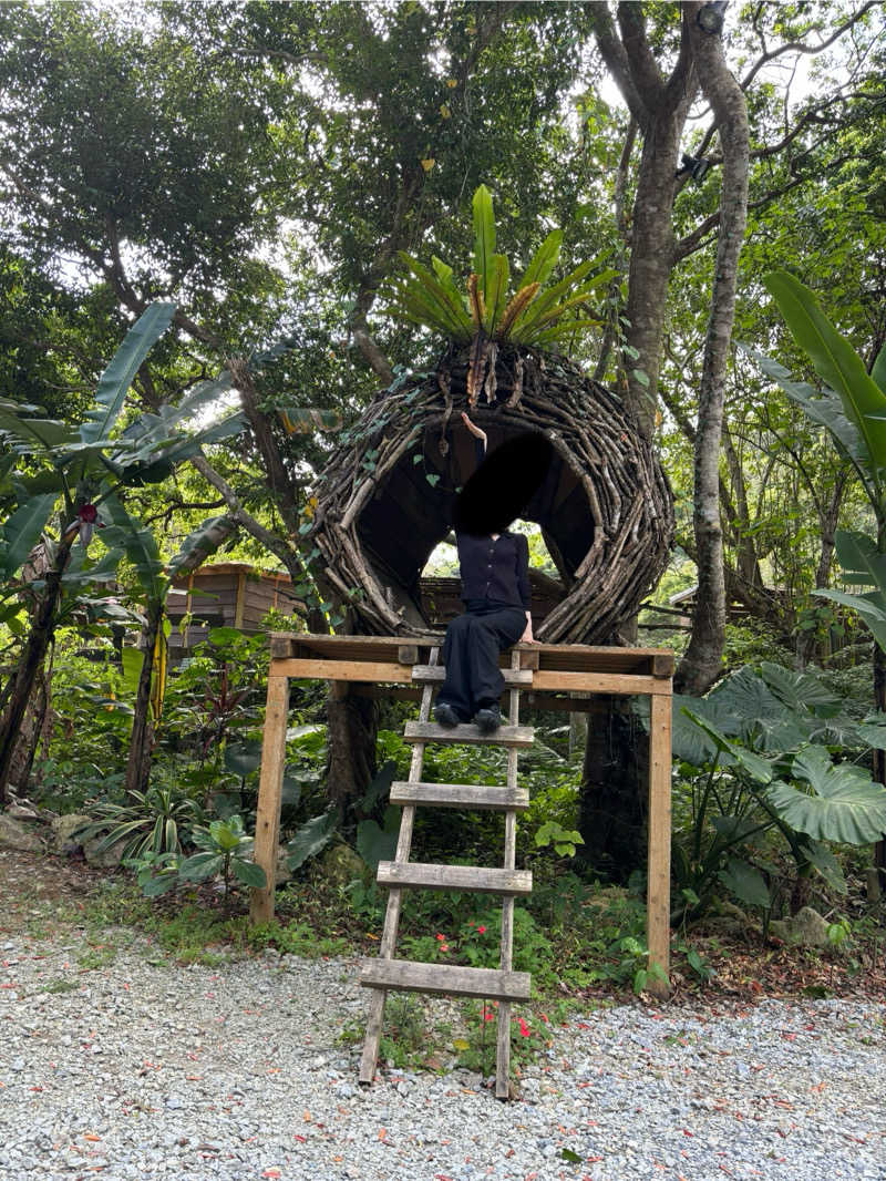 名古屋のサウナーさんの亜熱帯サウナのサ活写真