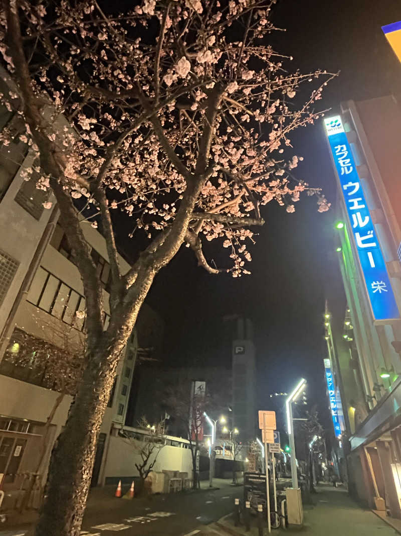 バルサウナさんのウェルビー栄のサ活写真