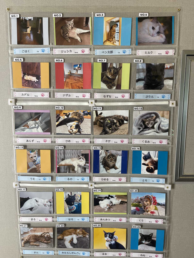江白吉🐈さんの極楽湯 ロイヤル川口のサ活写真