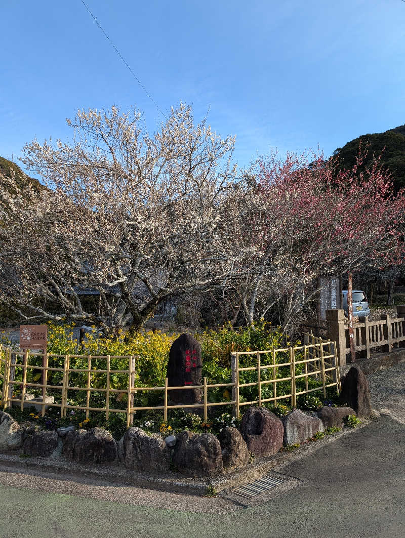 マナミさんのふきさらし湯のサ活写真