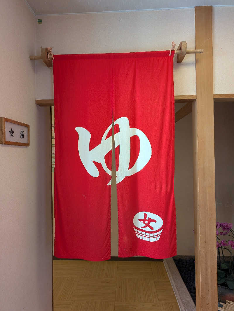 マナミさんの駿河の湯 坂口屋のサ活写真