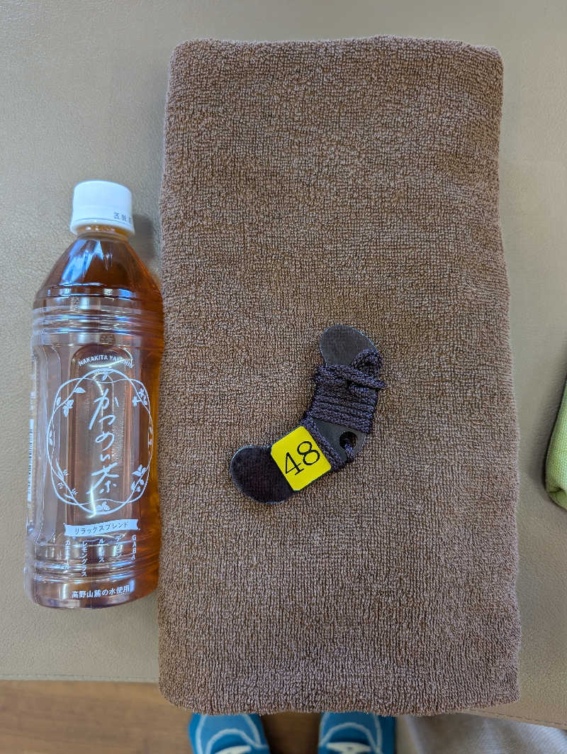 マナミさんのぽかぽか温泉 新守山乃湯のサ活写真