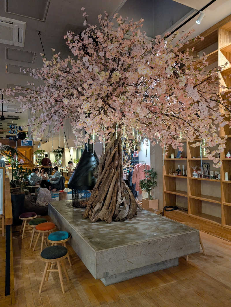マナミさんのおふろcafé utataneのサ活写真