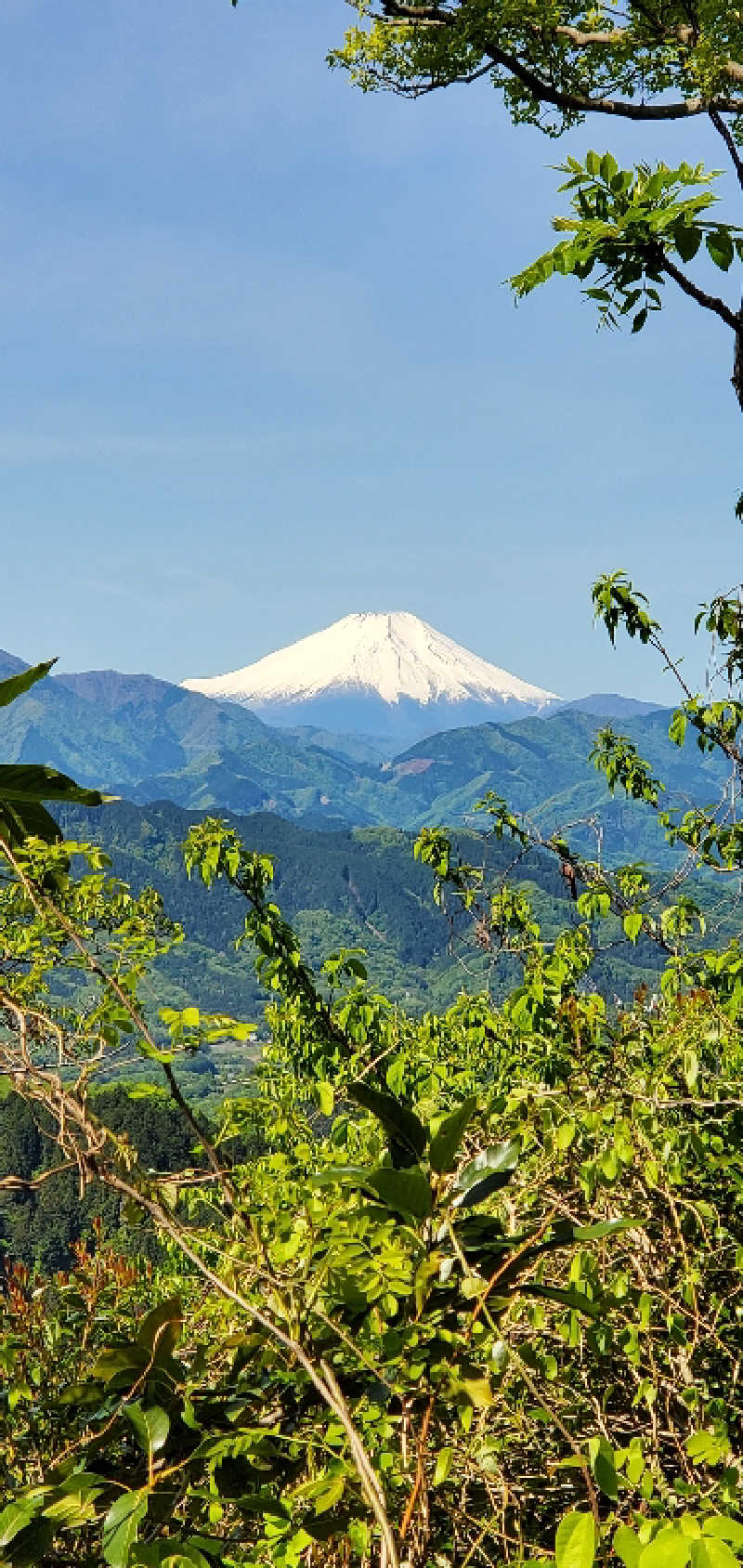 fuji36さんの京王高尾山温泉 極楽湯のサ活写真