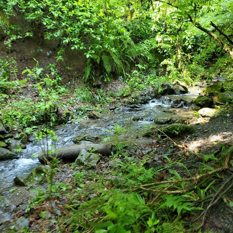 fuji36さんの京王高尾山温泉 極楽湯のサ活写真