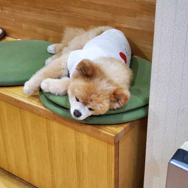 fuji36さんの竹の湯のサ活写真