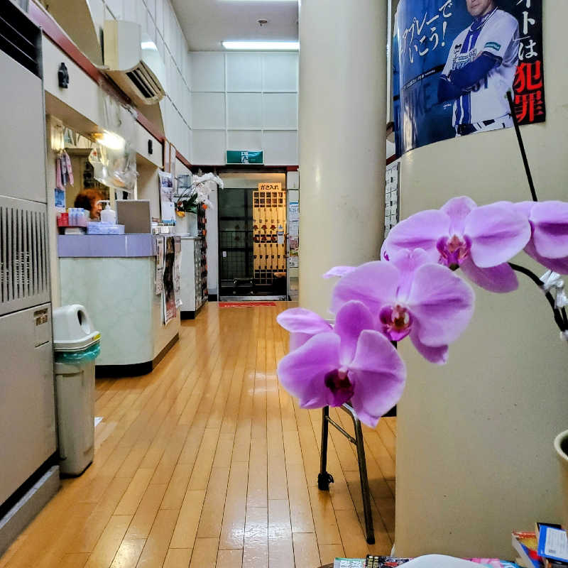 fuji36さんの利世館のサ活写真