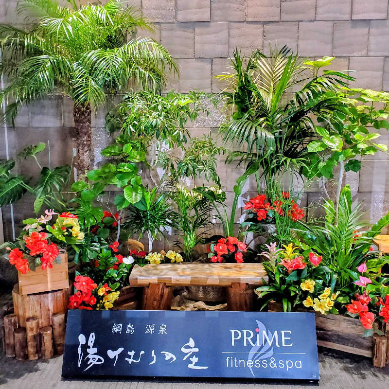 fuji36さんの綱島源泉 湯けむりの庄のサ活写真