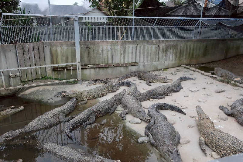 fuji36さんのひょうたん温泉のサ活写真