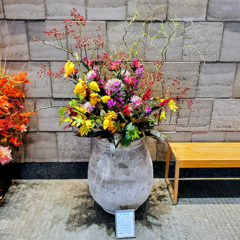 fuji36さんの綱島源泉 湯けむりの庄のサ活写真