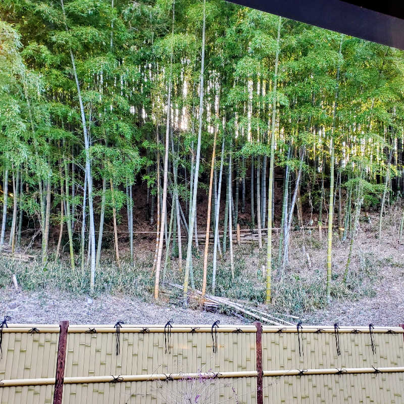 fuji36さんの横浜青葉温泉 喜楽里別邸のサ活写真