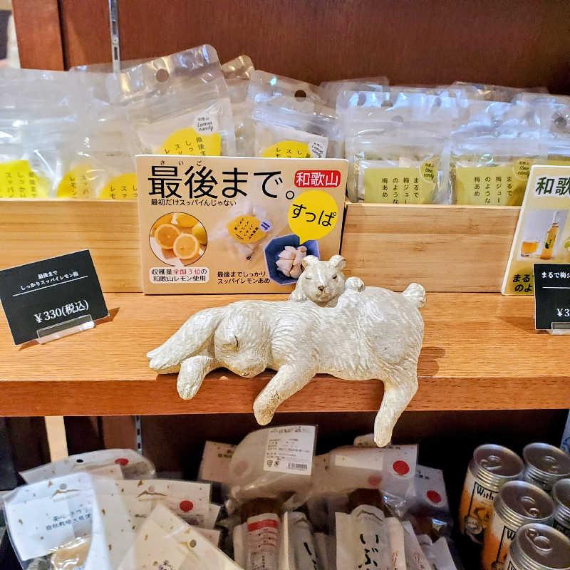 fuji36さんの綱島源泉 湯けむりの庄のサ活写真