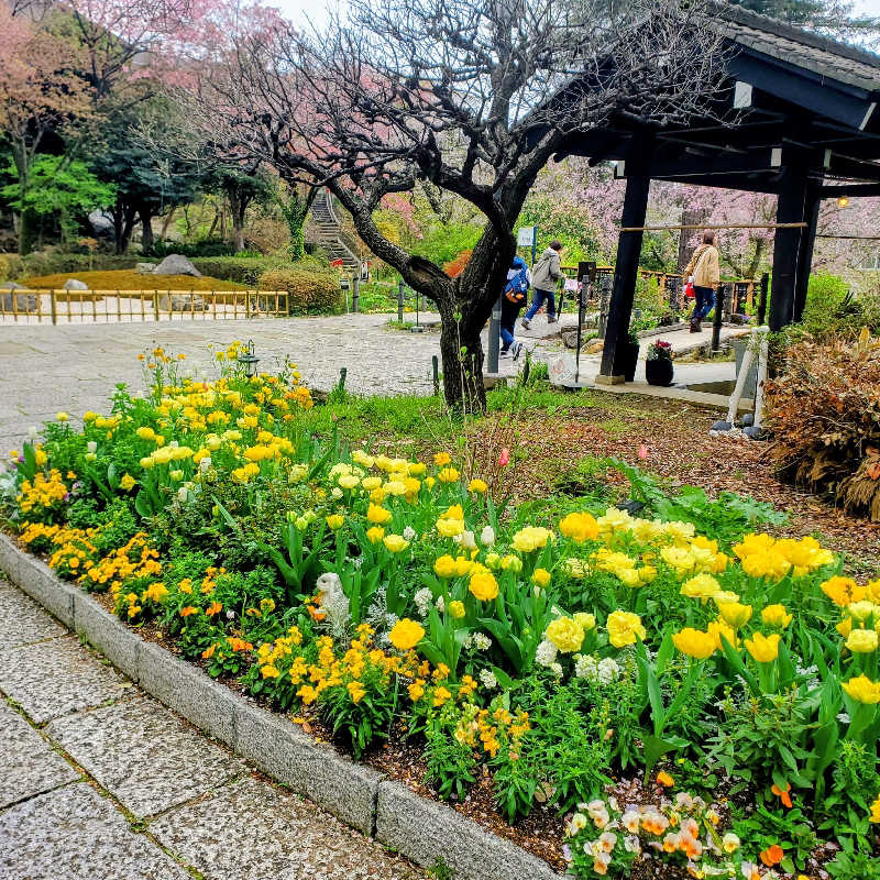 fuji36さんのよみうりランド眺望温泉 花景の湯のサ活写真