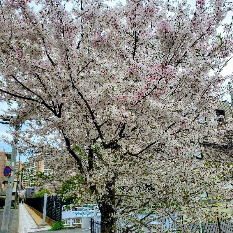fuji36さんのよみうりランド眺望温泉 花景の湯のサ活写真