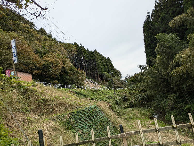 しもひろさんの川合田温泉 サウナ部のサ活写真