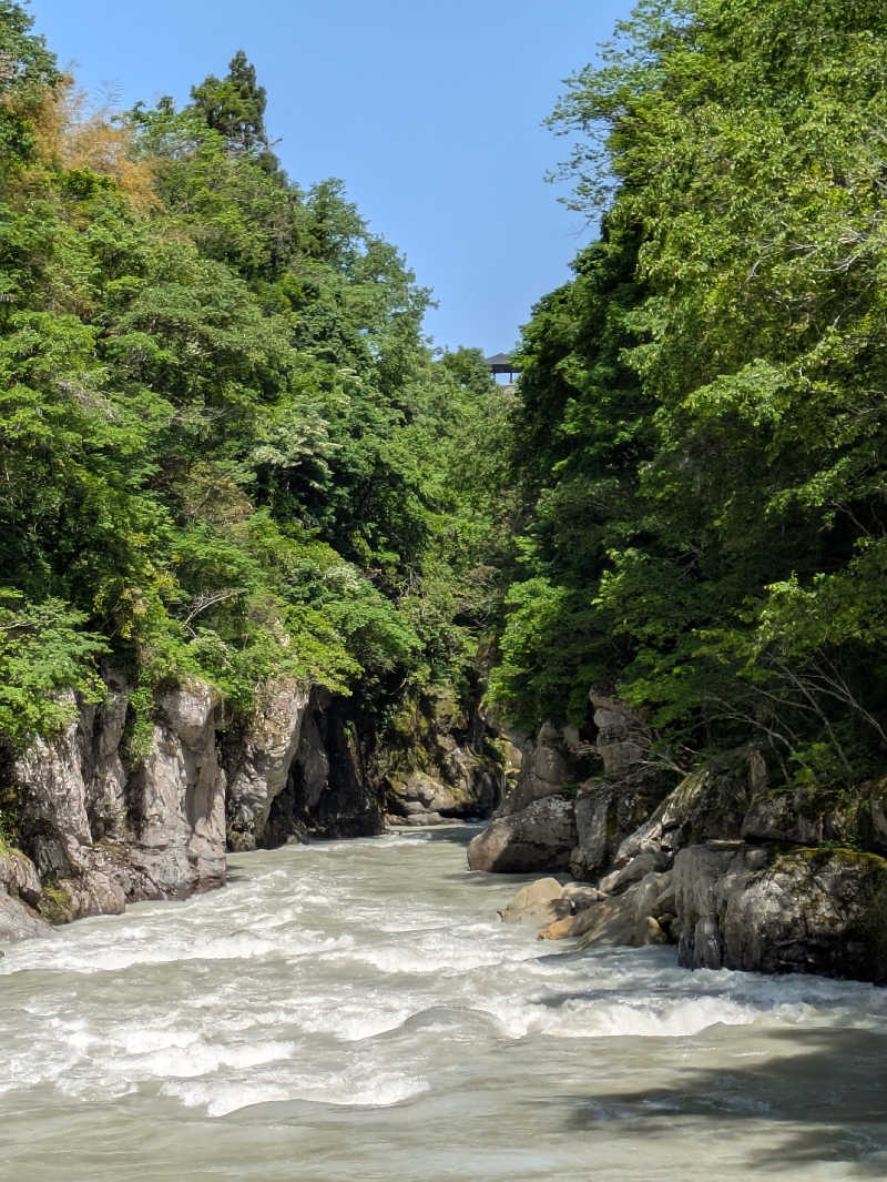 しもひろさんの白峰温泉 総湯のサ活写真