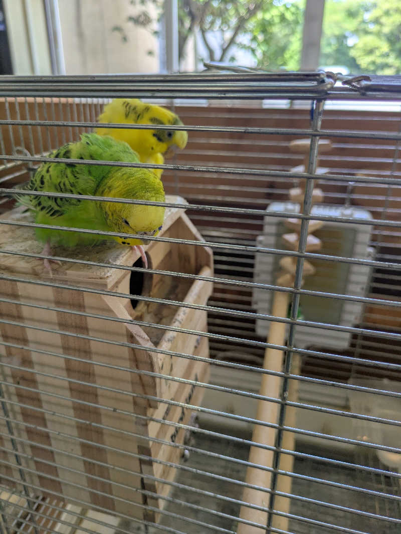 しもひろさんの里湯ちりはまのサ活写真