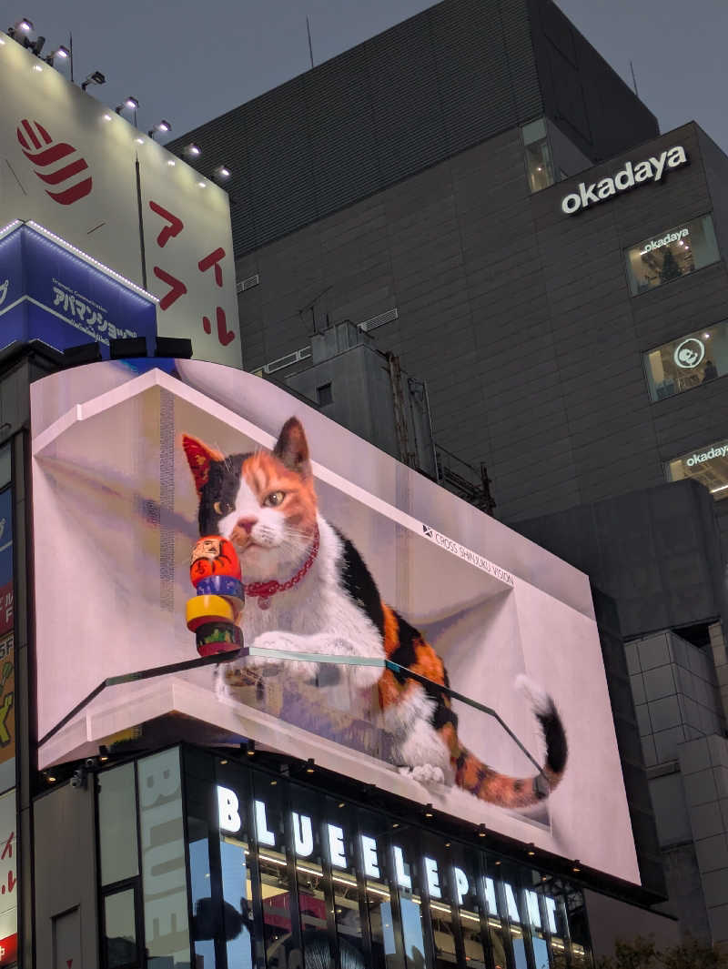 しもひろさんのルビーパレスのサ活写真