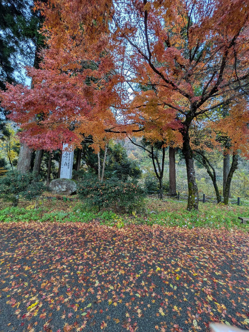 しもひろさんの比咩の湯のサ活写真