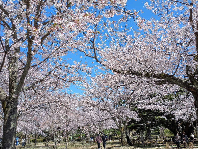 しもひろさんの白峰温泉 総湯のサ活写真