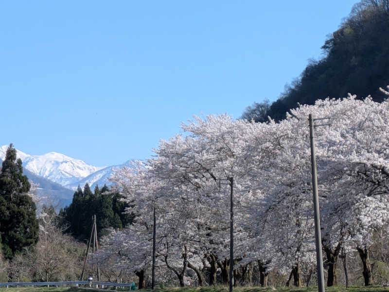 しもひろさんの白峰温泉 総湯のサ活写真