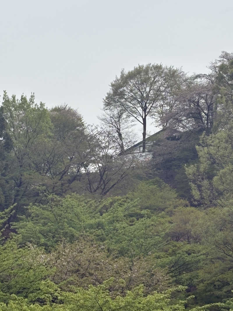 グミベアさんの妙義ふれあいプラザ もみじの湯のサ活写真