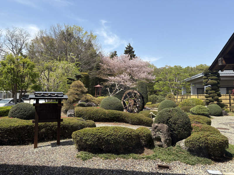 グミベアさんの昭和の湯のサ活写真