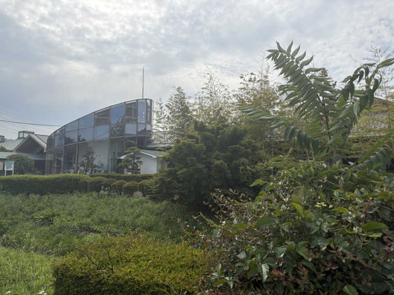 グミベアさんのかんなの湯のサ活写真