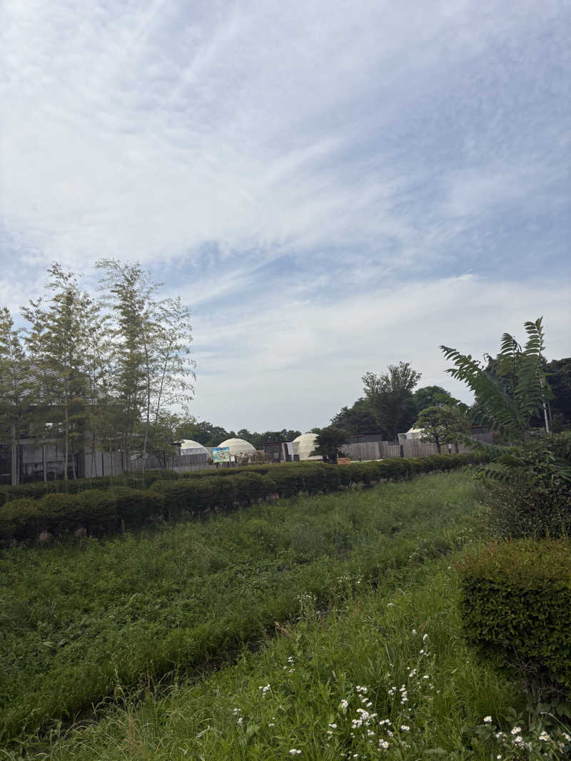 グミベアさんのかんなの湯のサ活写真