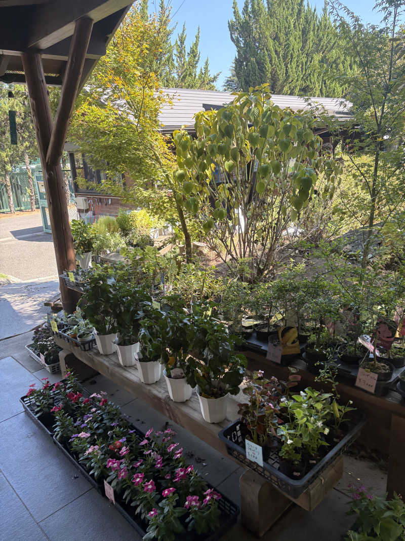 グミベアさんの深谷花園温泉 花湯の森のサ活写真