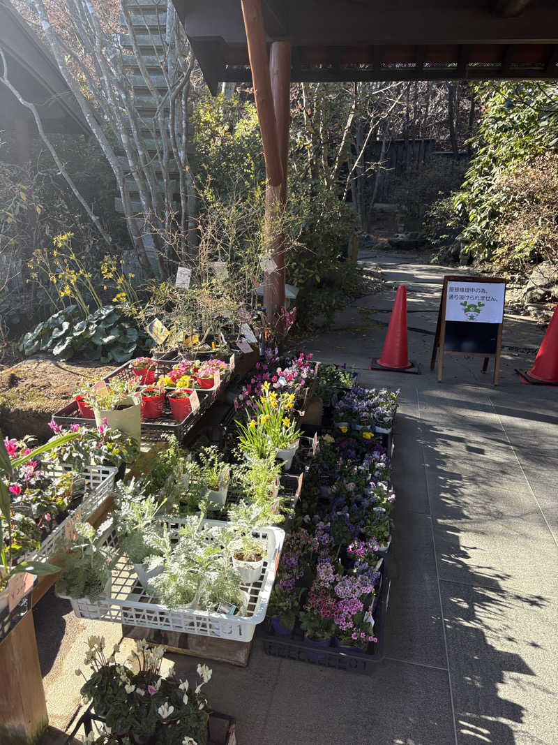 グミベアさんの深谷花園温泉 花湯の森のサ活写真